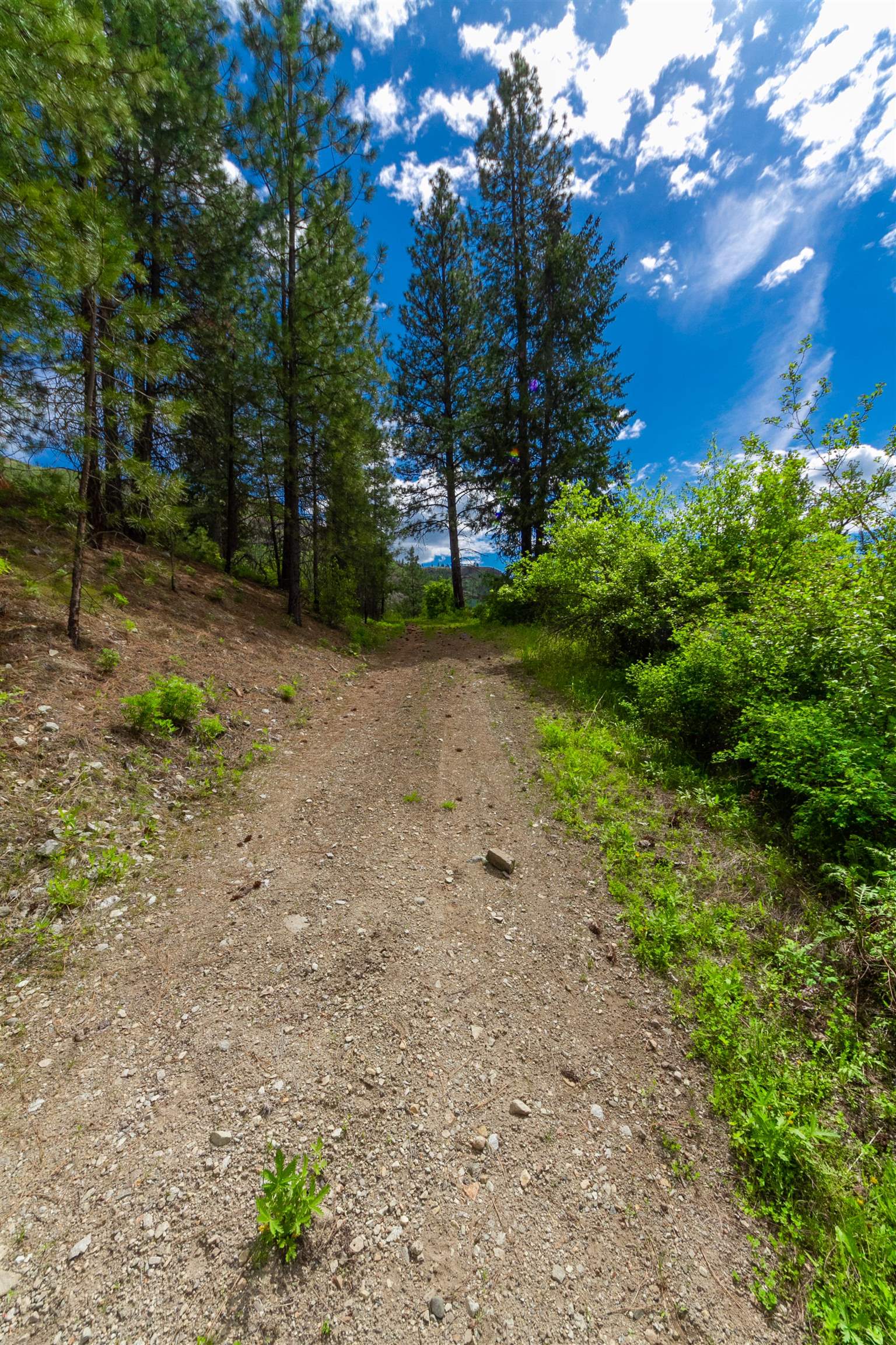 XXX Off E Sanpoil Rd - Photo 26