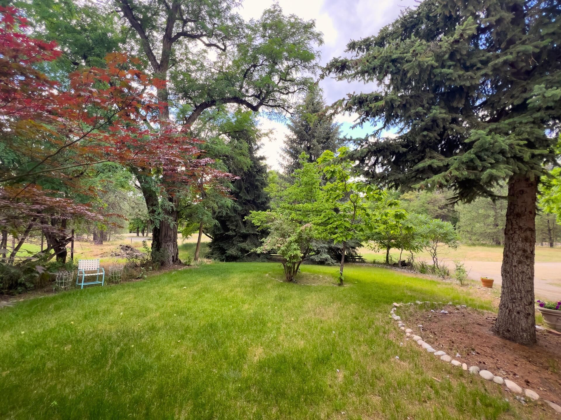 1429 Kettle Park Rd - Photo 7