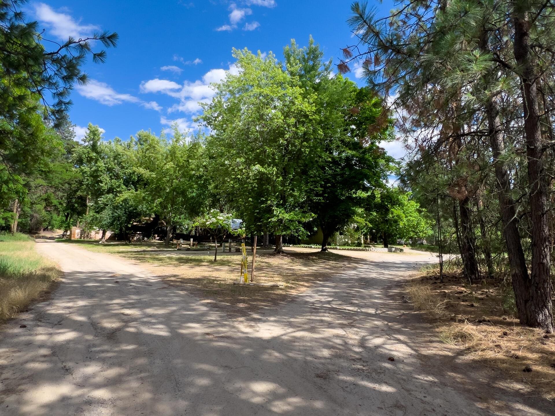 1429 Kettle Park Rd - Photo 40