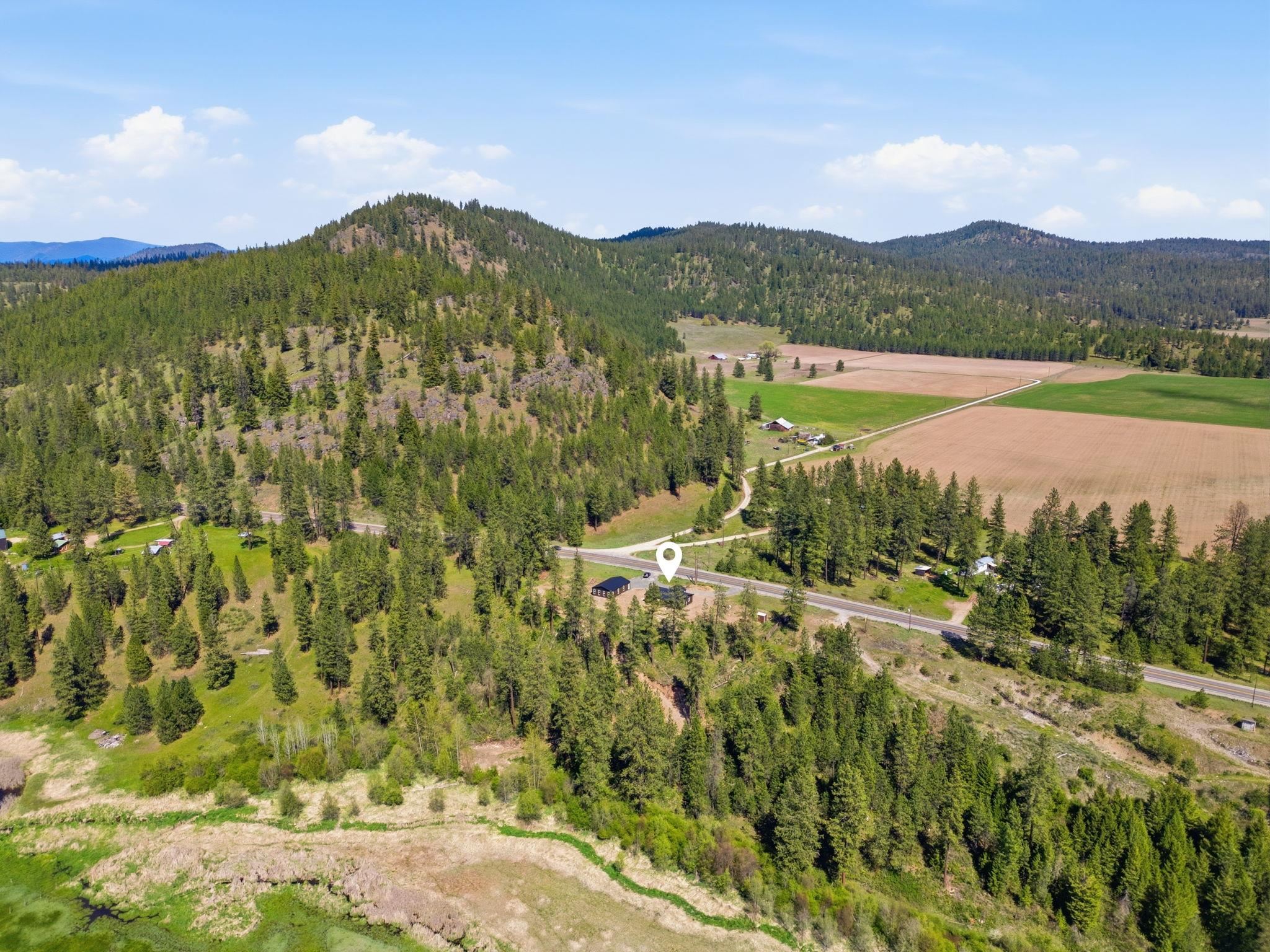 4250 Highway 231 Hwy - Photo 6
