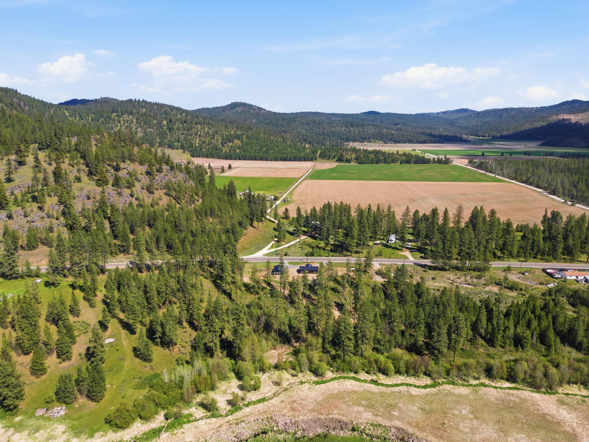 4250 Highway 231 Hwy - Photo 32