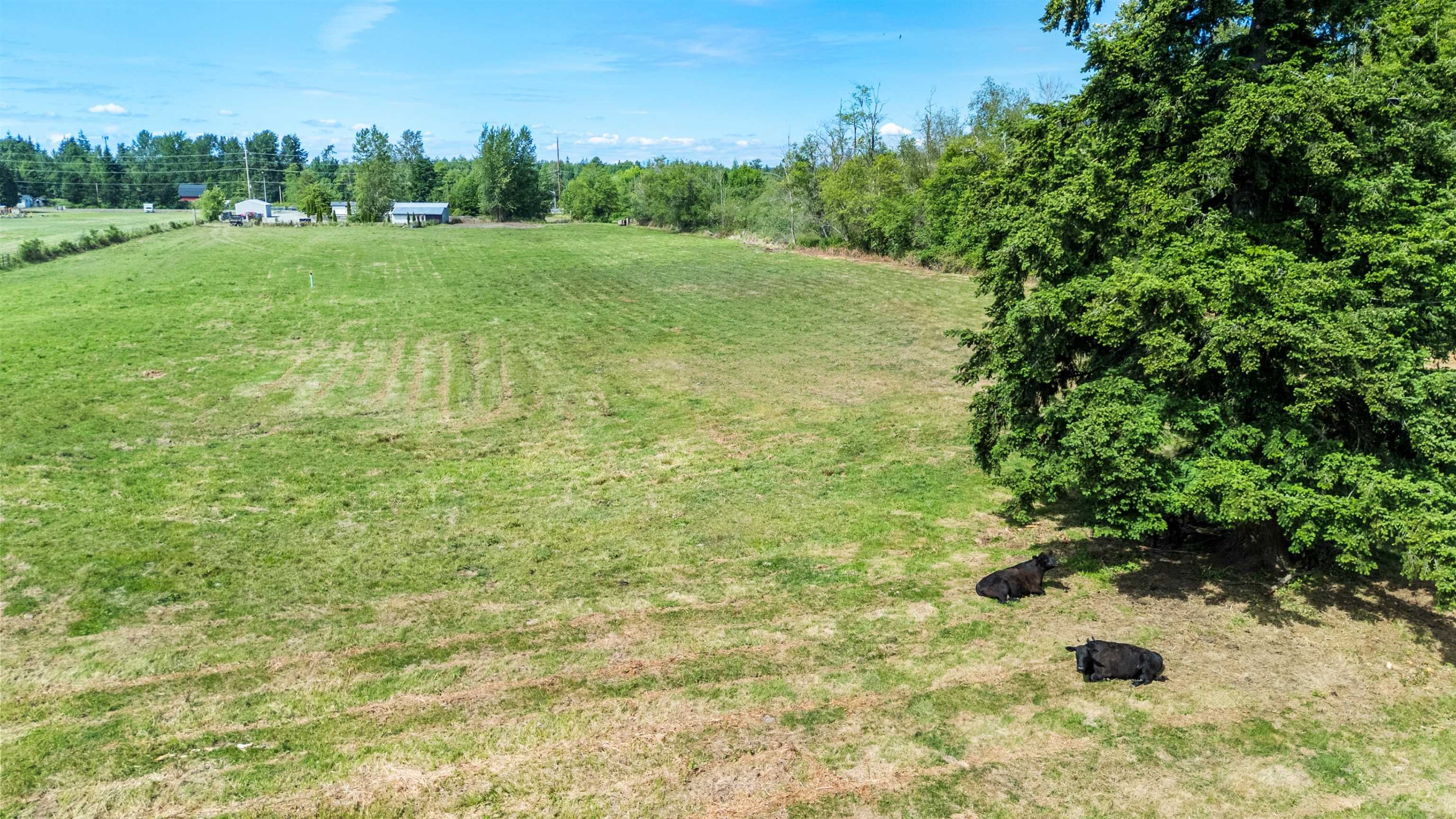 3471 Birch Bay Lynden Rd - Photo 5