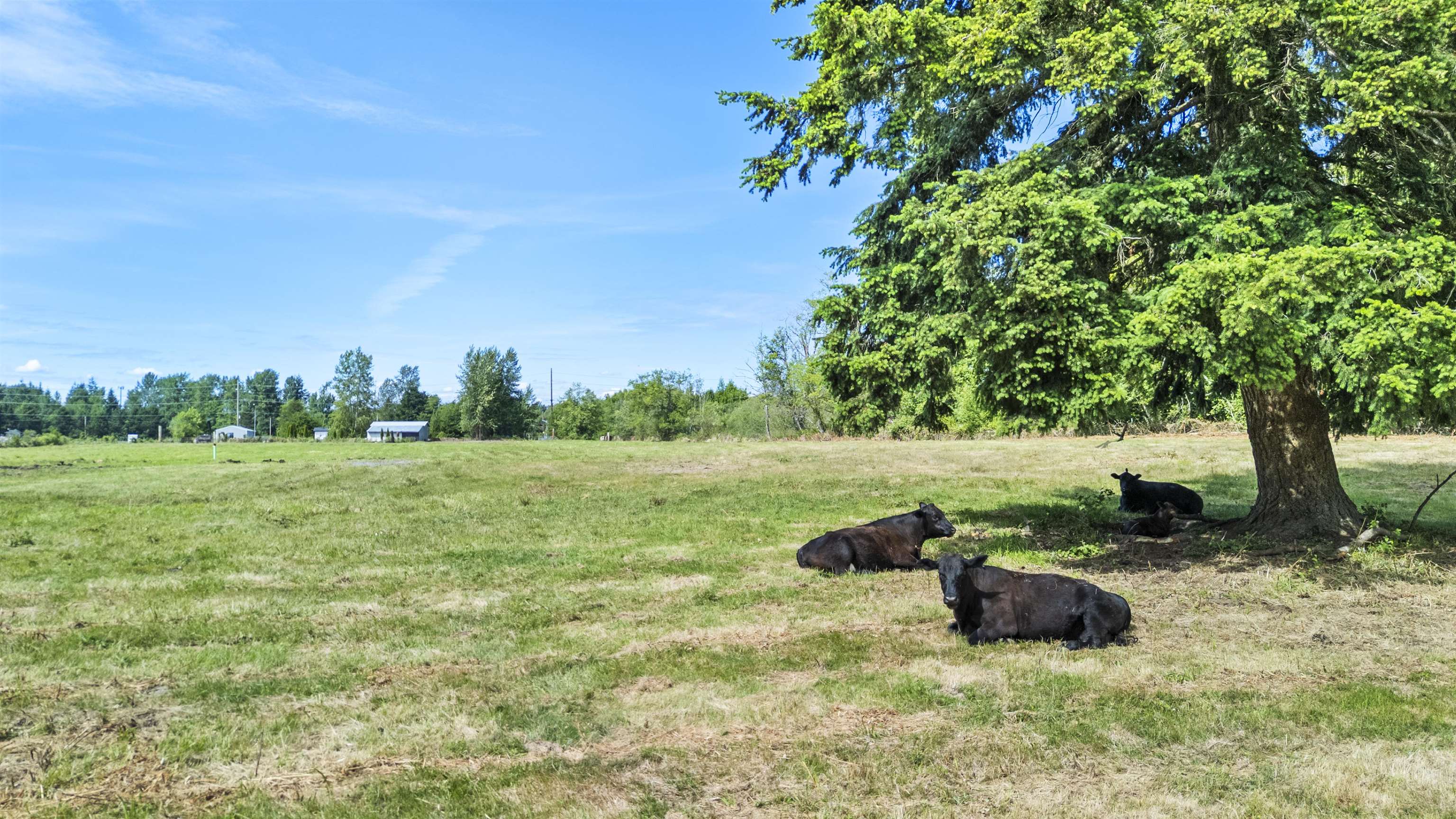 3471 Birch Bay Lynden Rd - Photo 43