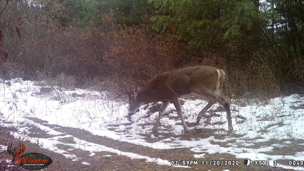3XXX Beitey Rd - Photo 9