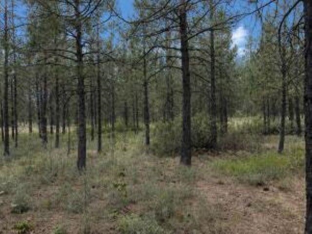 1213 FUMI Cir - Photo 3