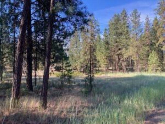 1213 FUMI Cir - Photo 12