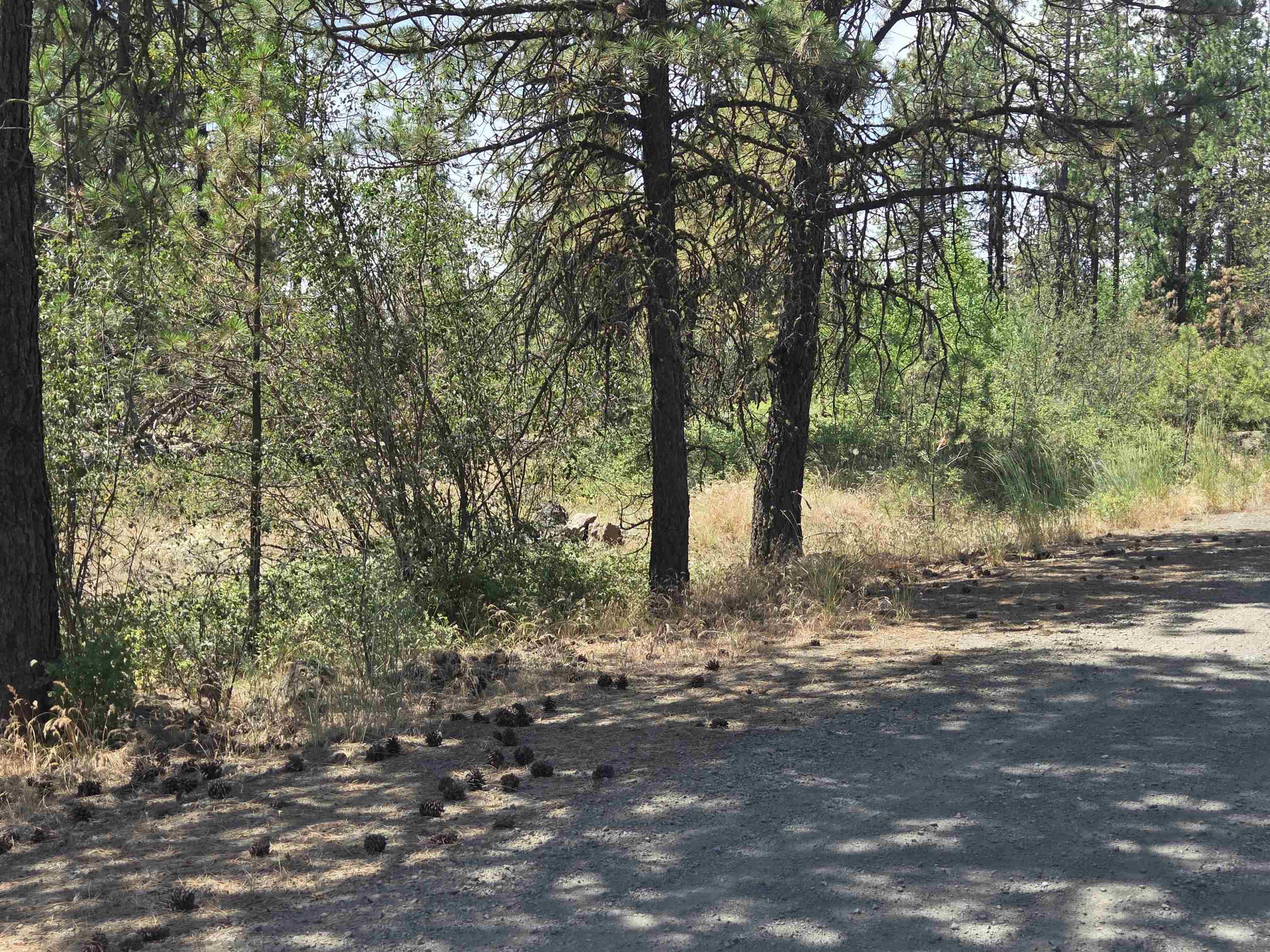 13711 W FARWELL Rd - Photo 3