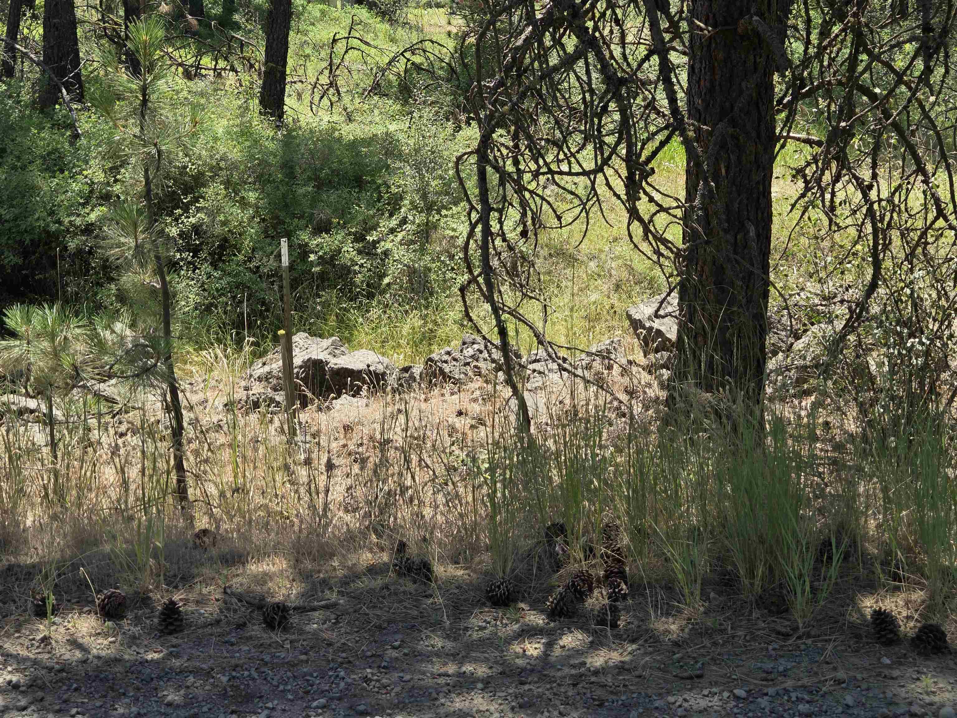 13711 W FARWELL Rd - Photo 4