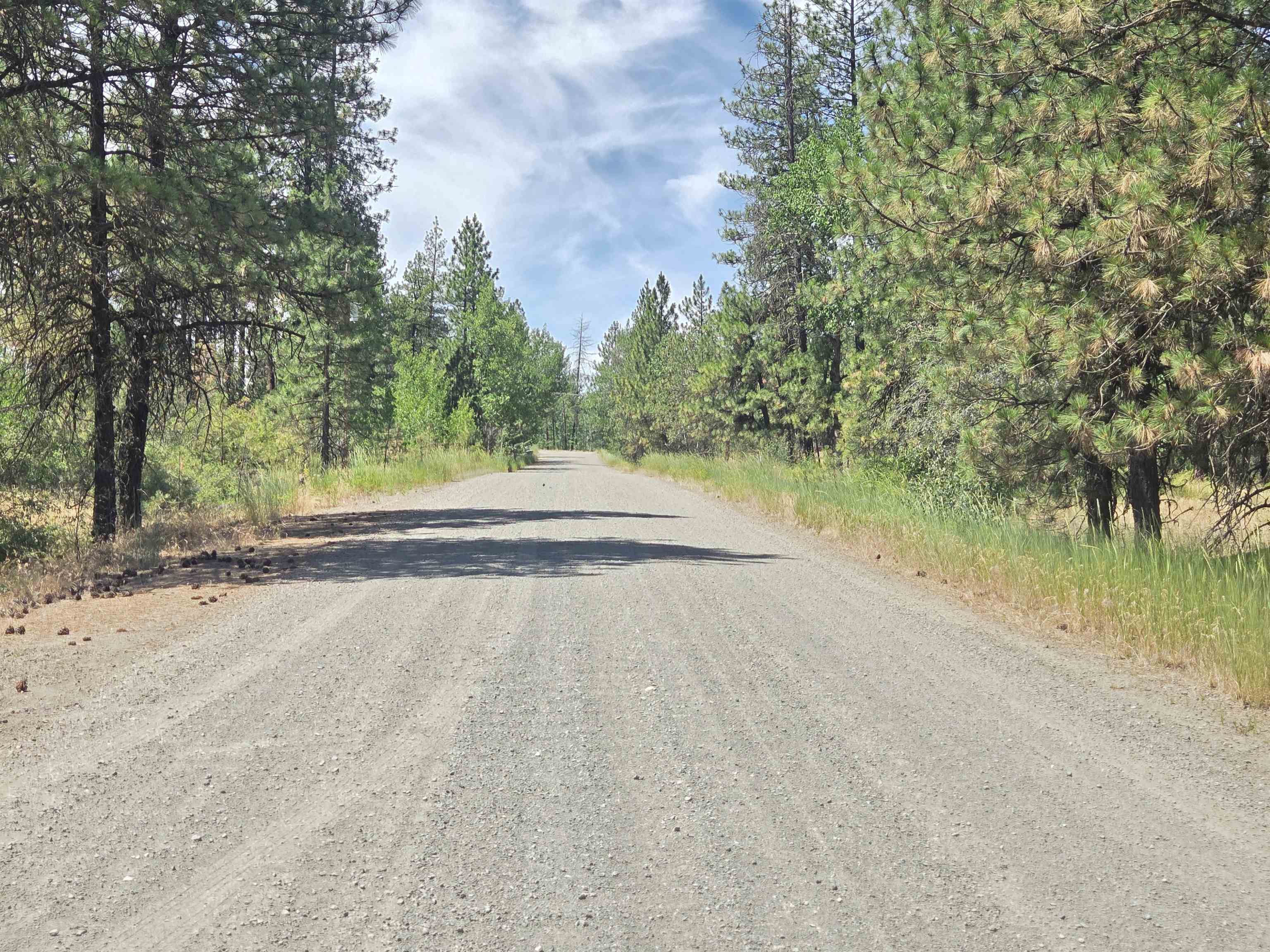 13711 W FARWELL Rd - Photo 2