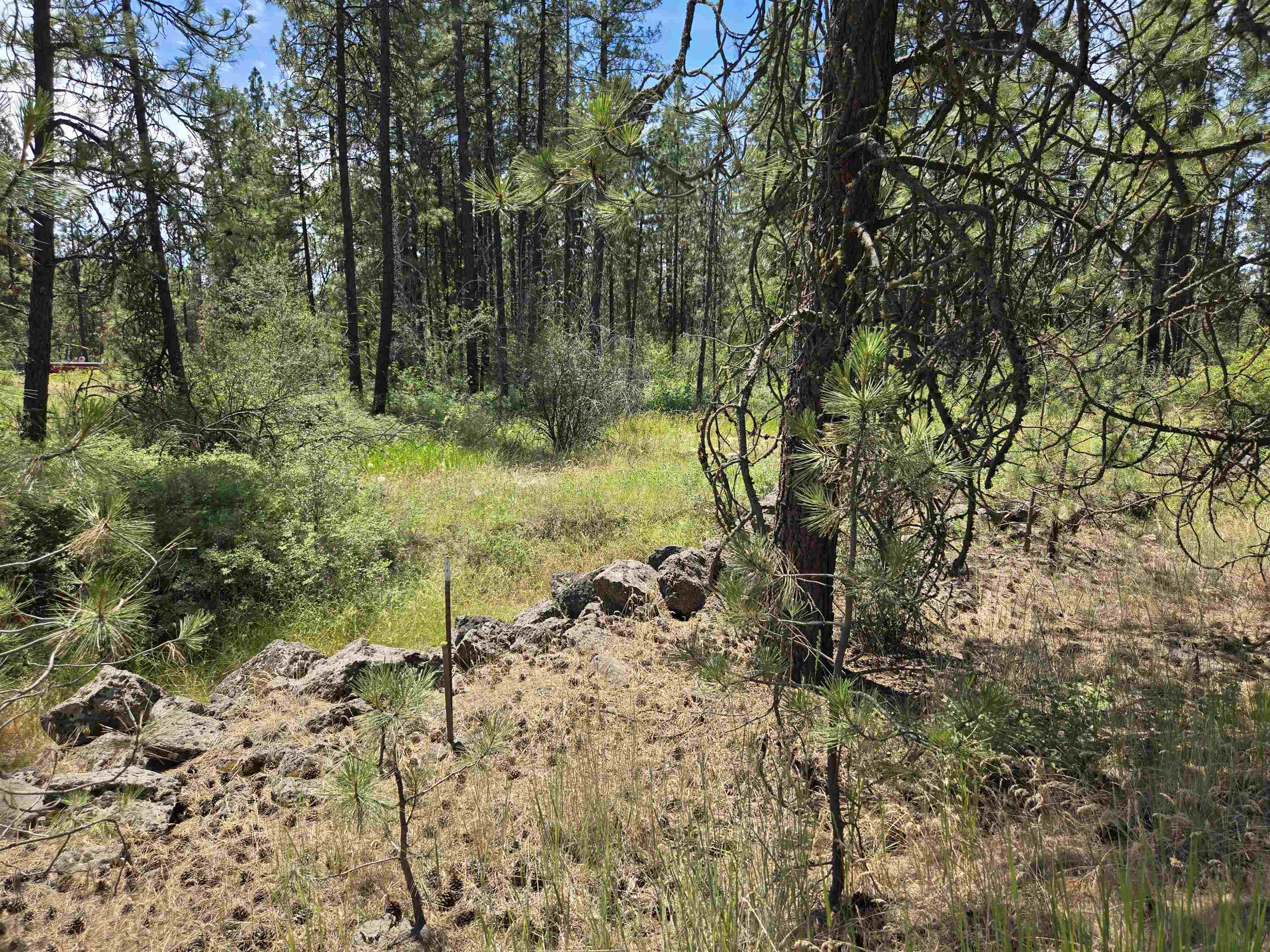 13711 W FARWELL Rd - Photo 5