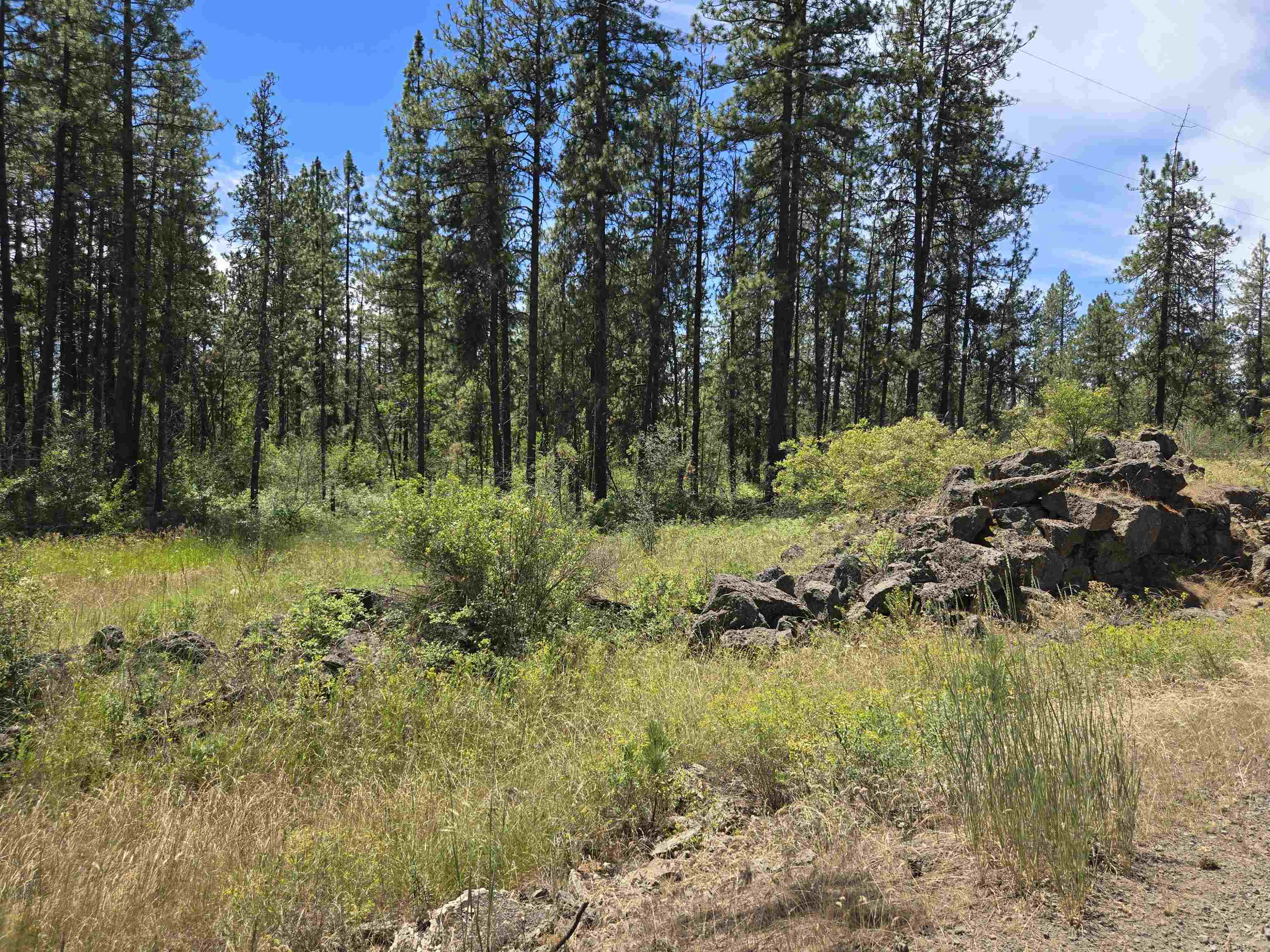 13711 W FARWELL Rd - Photo 6
