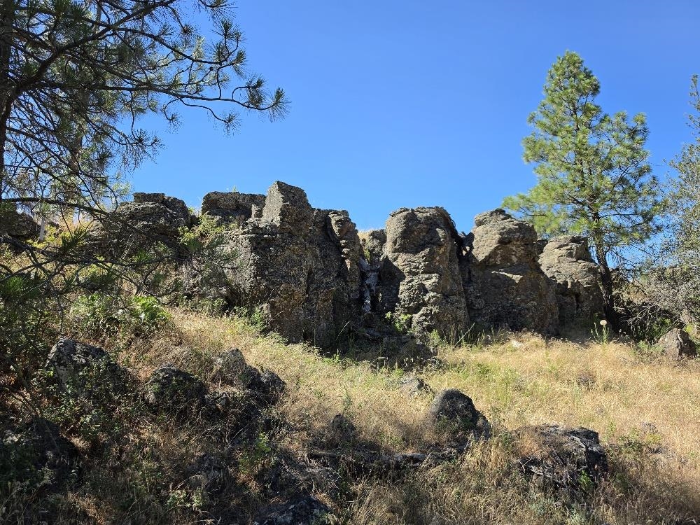 21301 S Harrison Rd - Photo 5