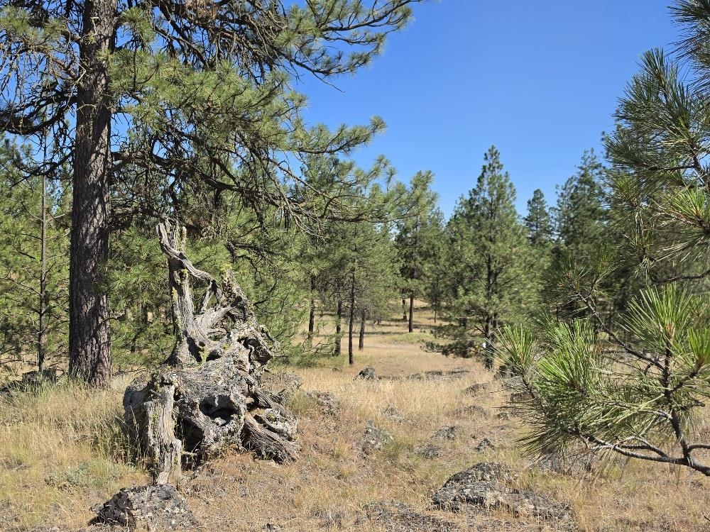21301 S Harrison Rd - Photo 7