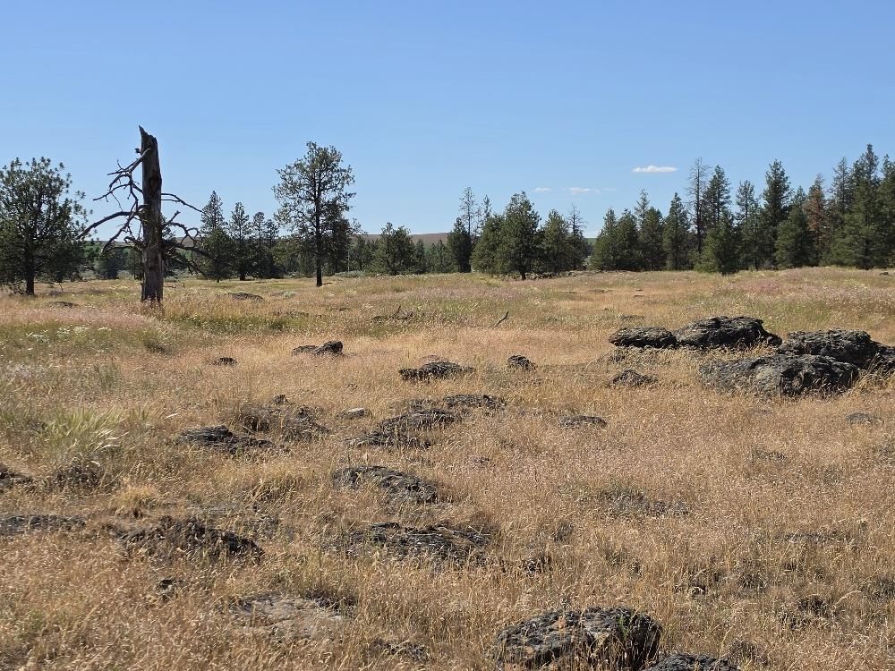21301 S Harrison Rd - Photo 13