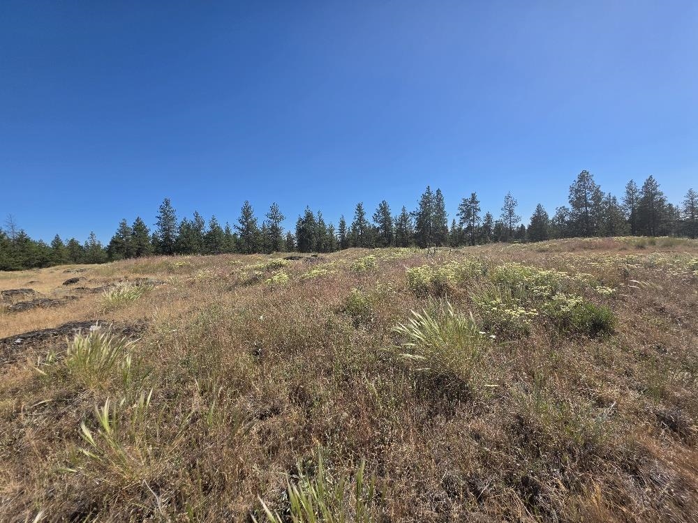 21301 S Harrison Rd - Photo 6