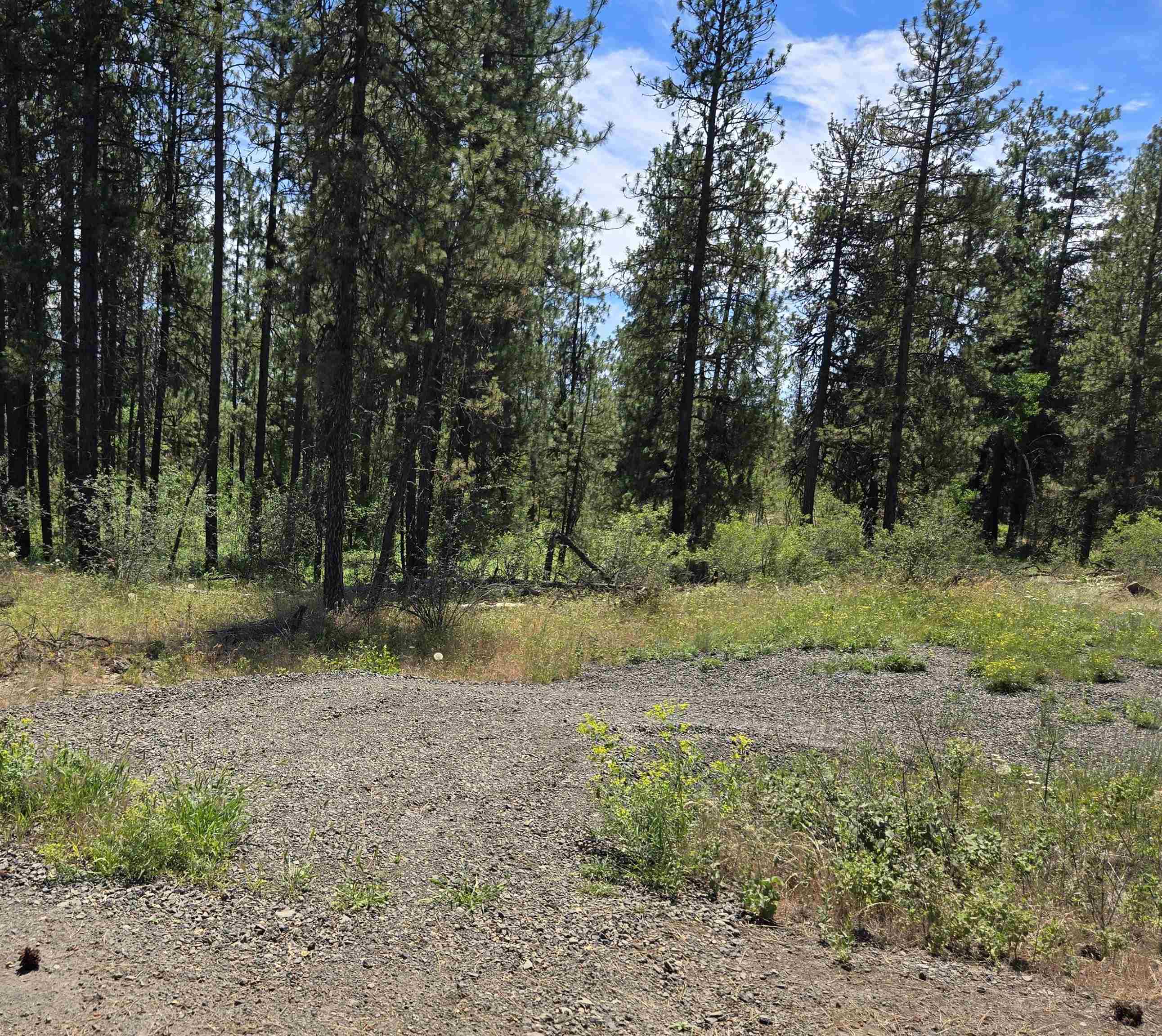 13711 W FARWELL Rd - Photo 1