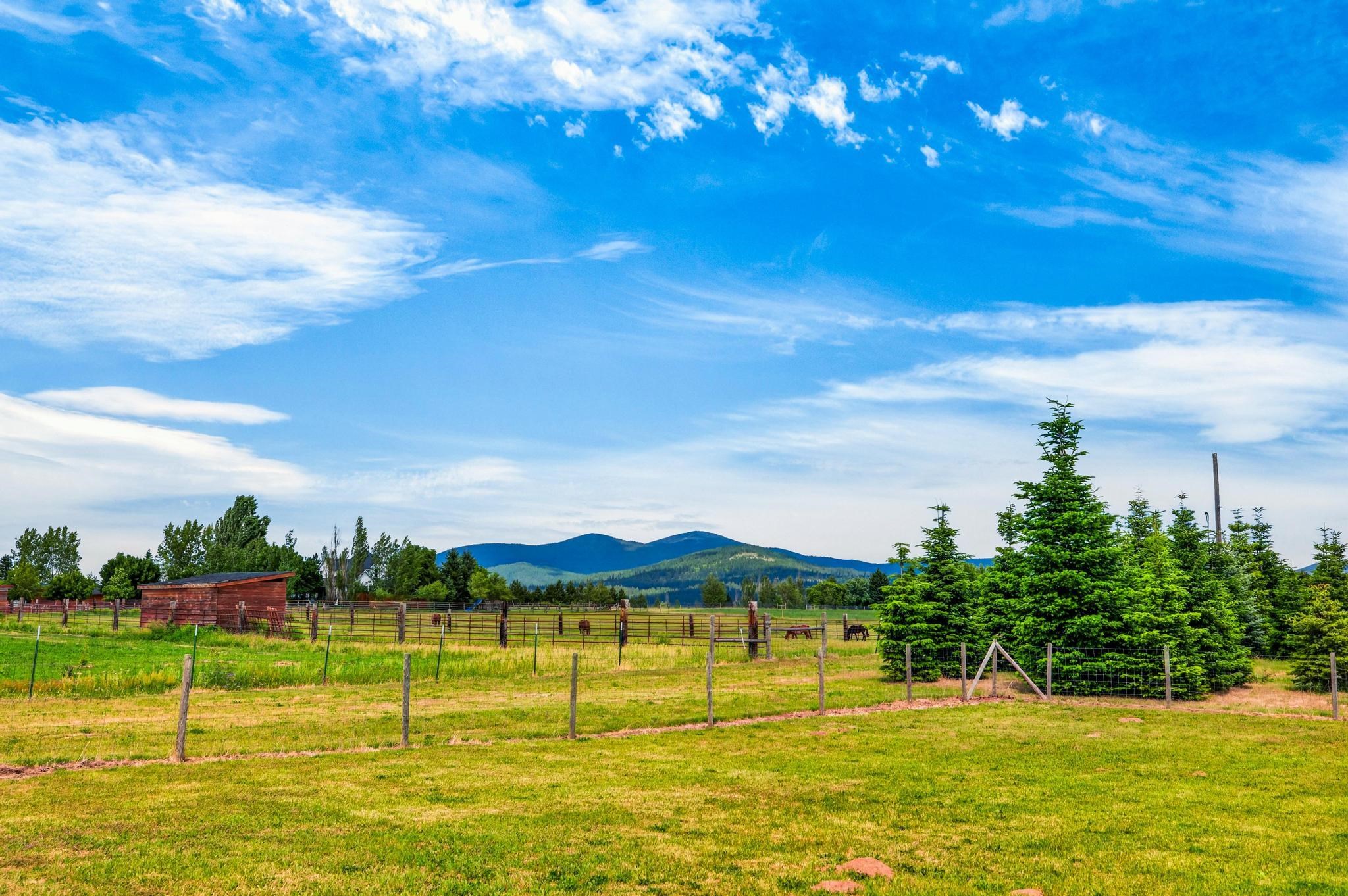 10215 E Day Mt Spokane Rd - Photo 31