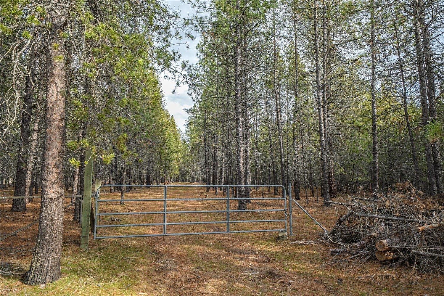 28202 N Bruce Rd - Photo 2