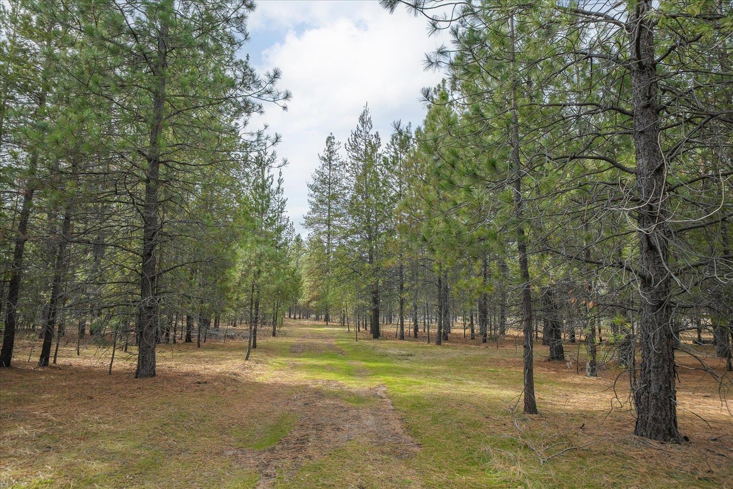 28202 N Bruce Rd - Photo 3