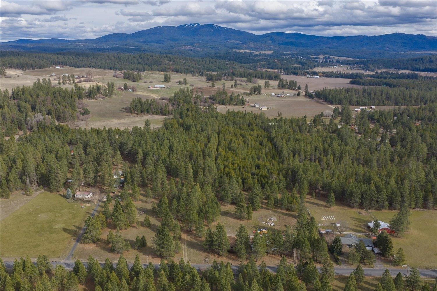28202 N Bruce Rd - Photo 6