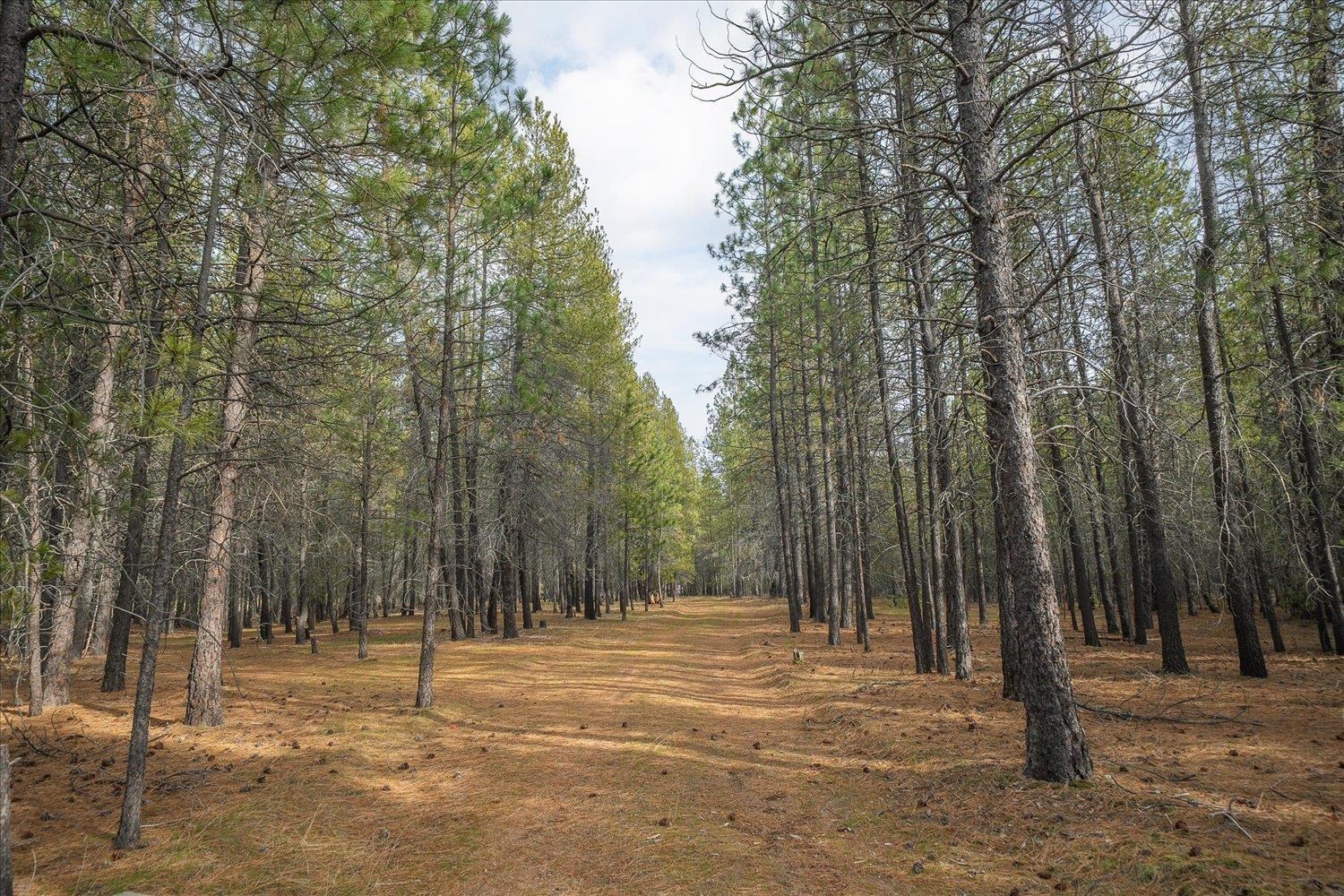 28202 N Bruce Rd - Photo 7