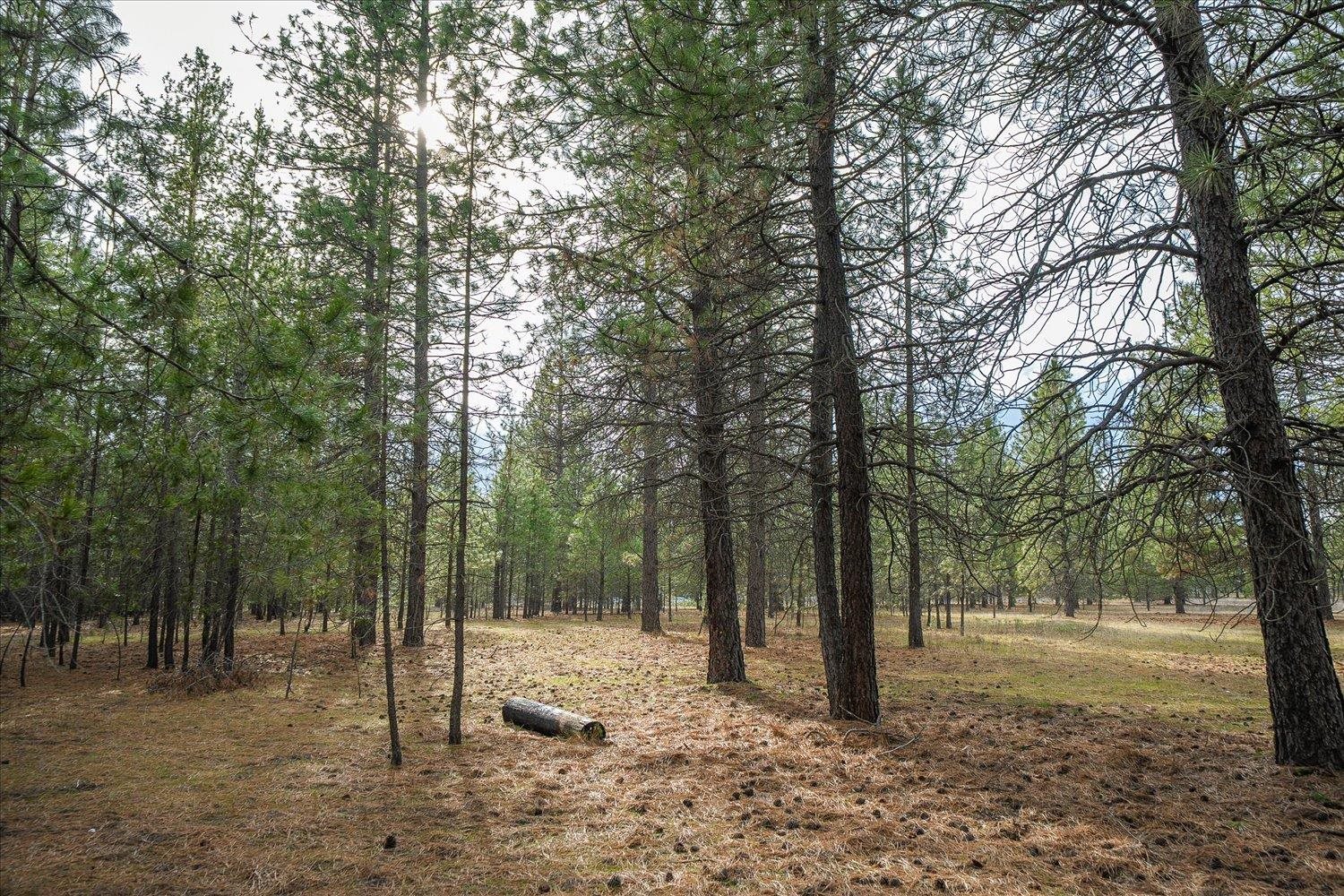 28202 N Bruce Rd - Photo 8