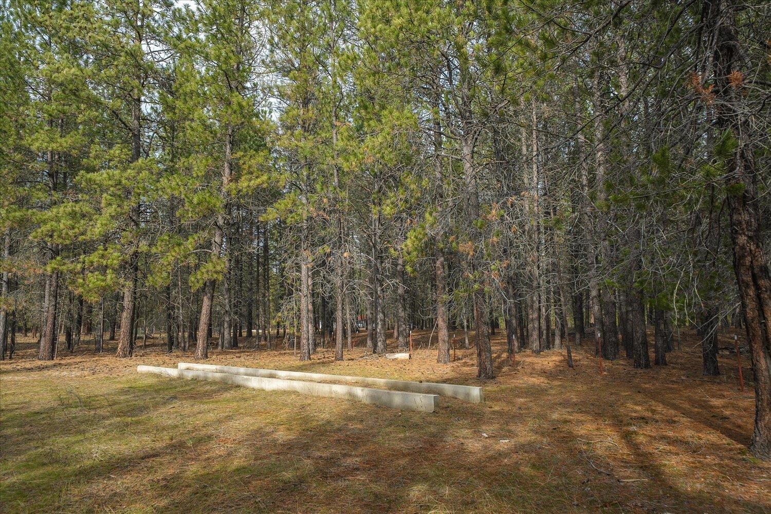 28202 N Bruce Rd - Photo 10