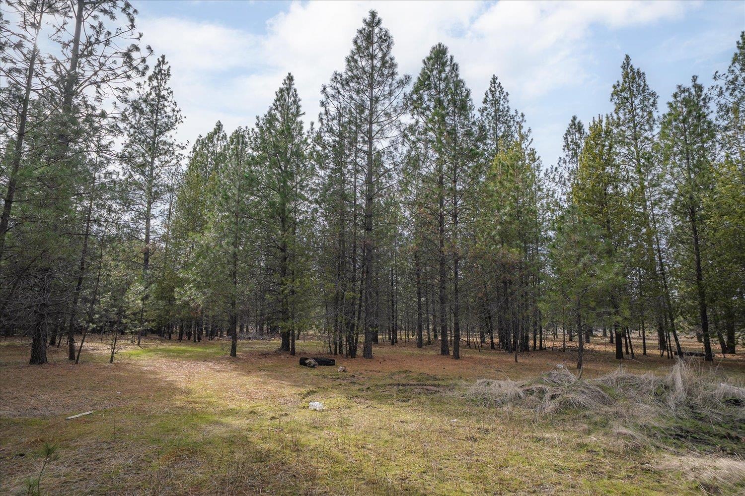 28202 N Bruce Rd - Photo 11