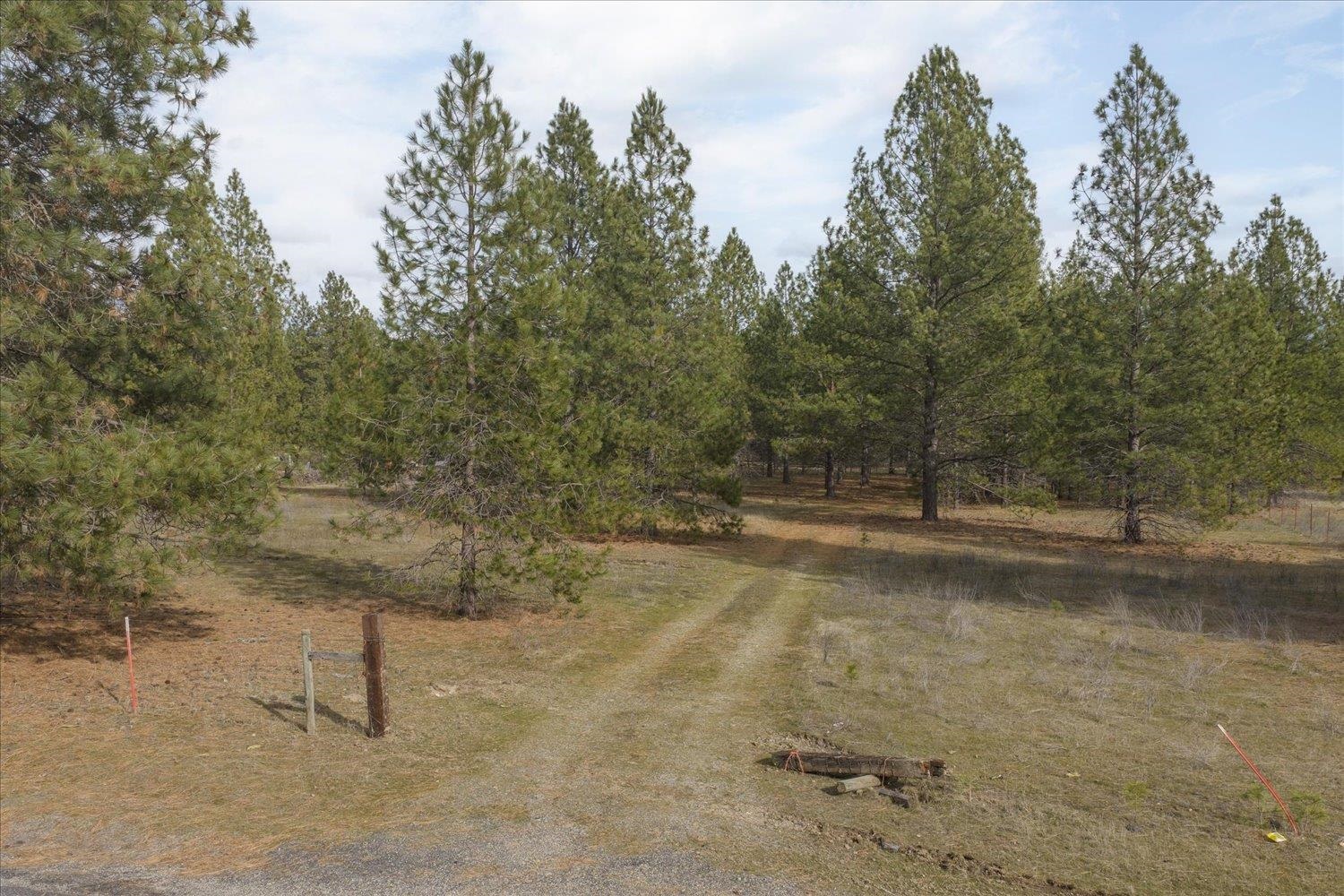 28202 N Bruce Rd - Photo 13