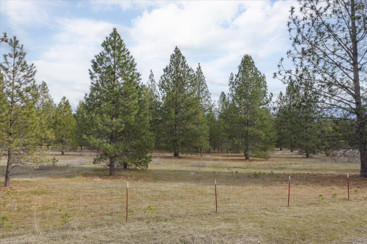 28202 N Bruce Rd - Photo 14