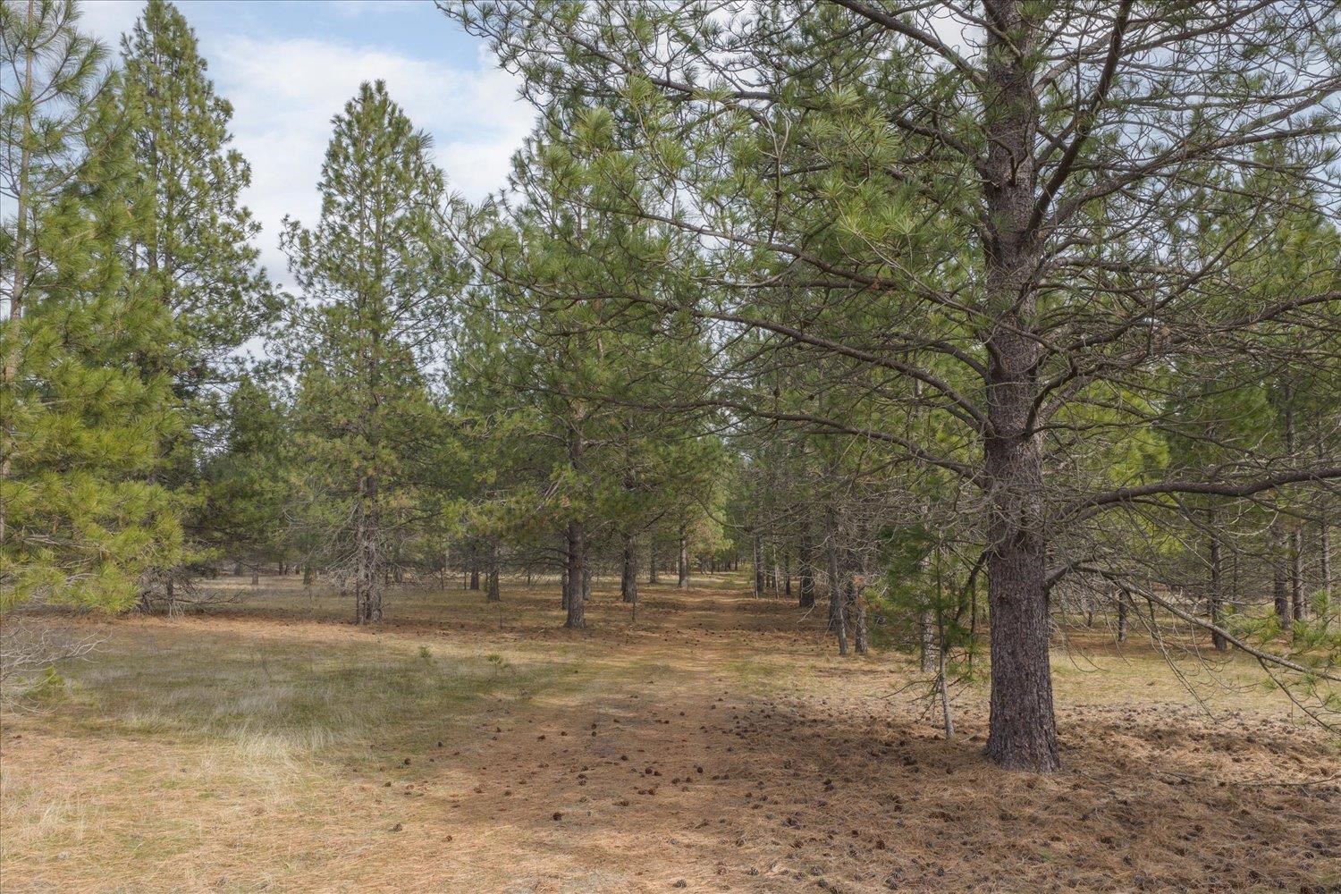 28202 N Bruce Rd - Photo 15