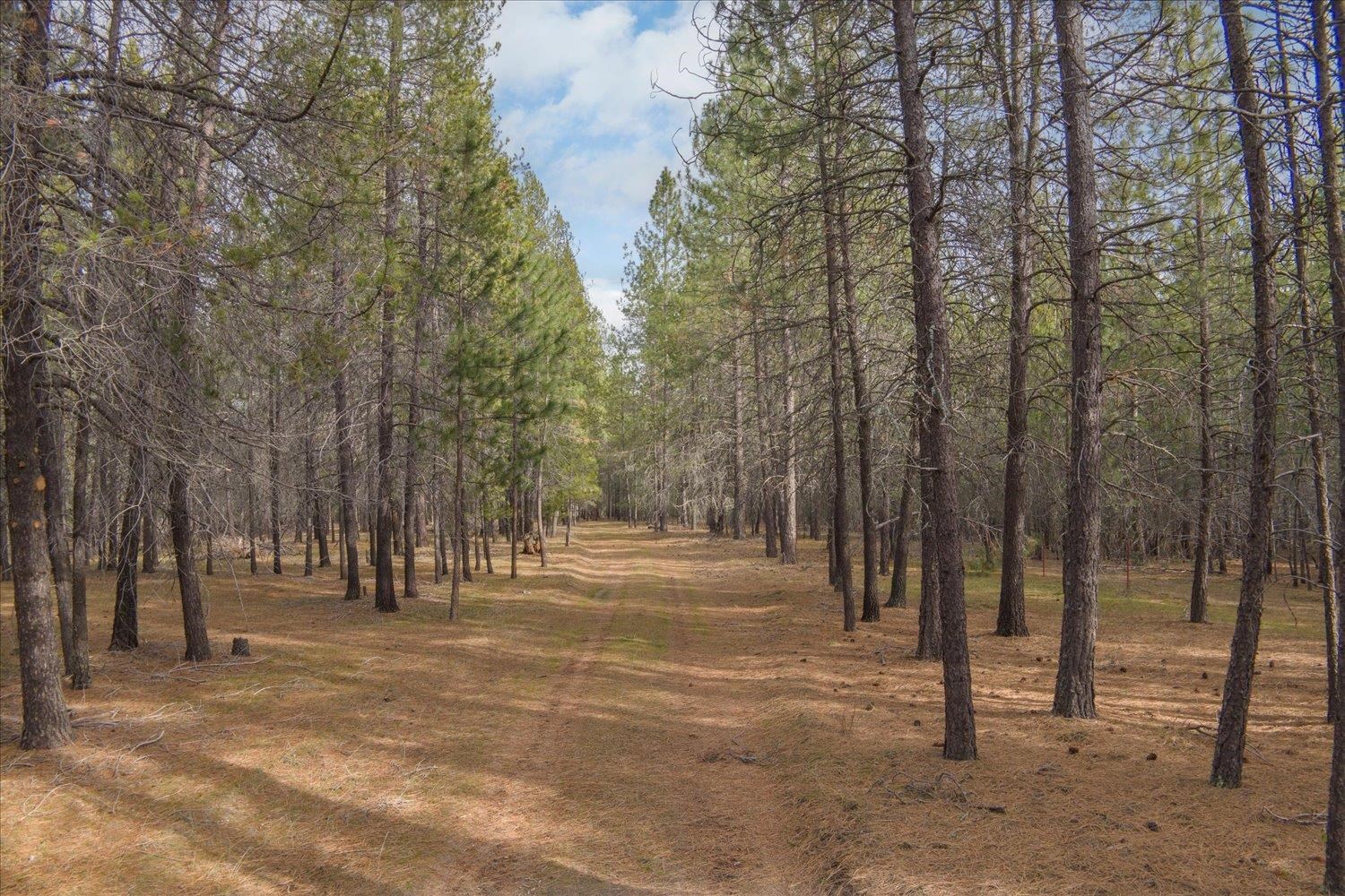 28202 N Bruce Rd - Photo 17