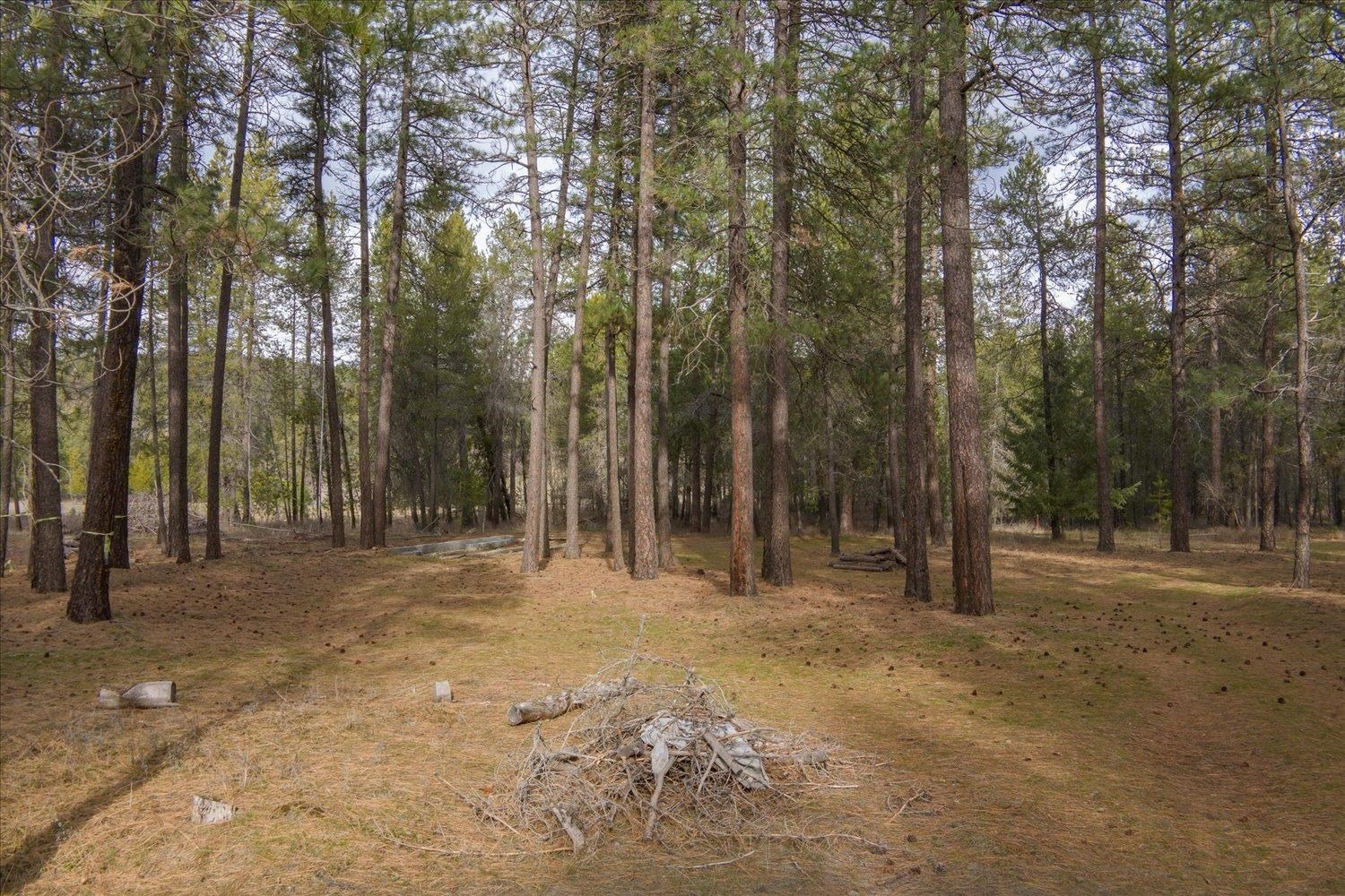 28202 N Bruce Rd - Photo 18