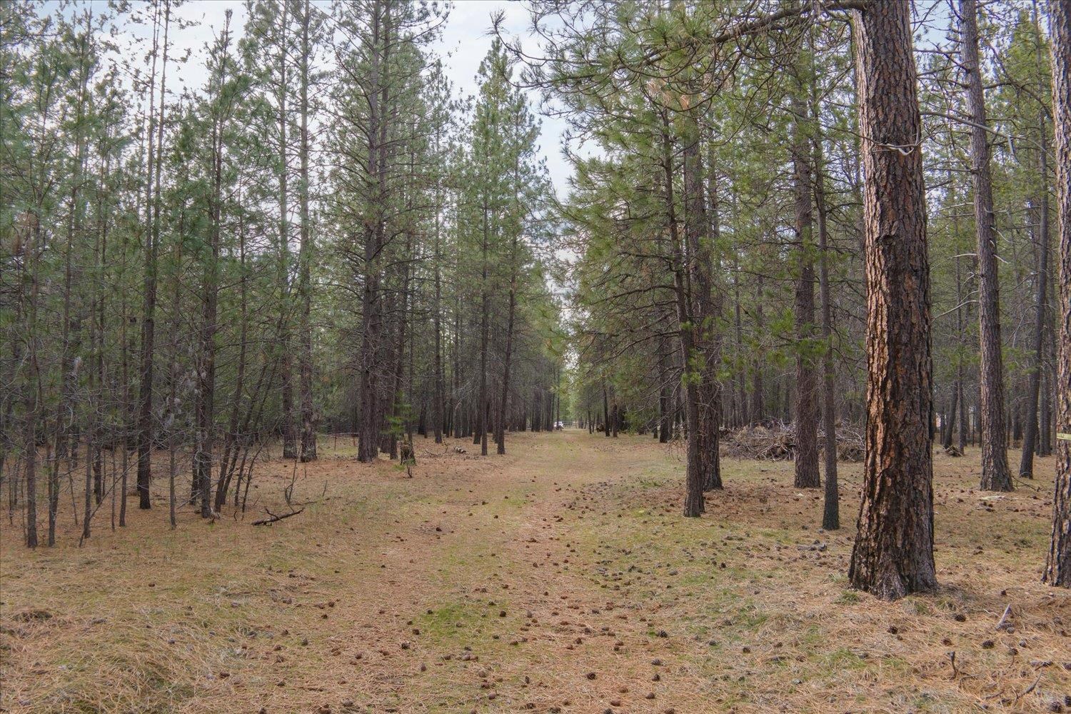 28202 N Bruce Rd - Photo 19