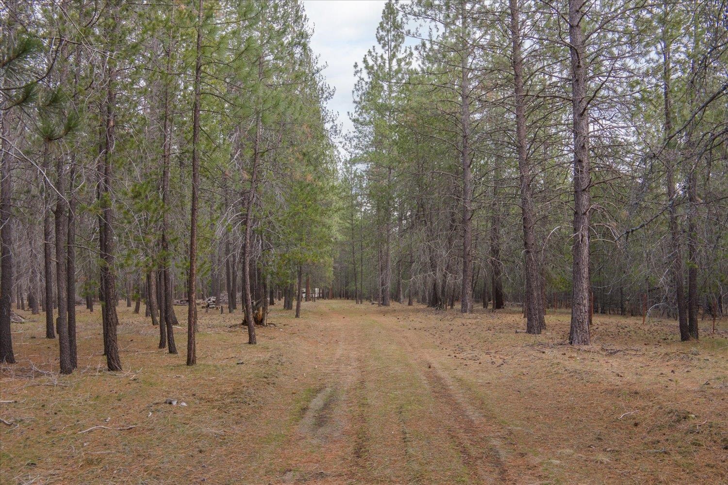 28202 N Bruce Rd - Photo 23
