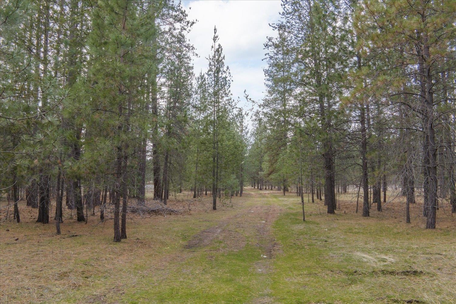 28202 N Bruce Rd - Photo 24