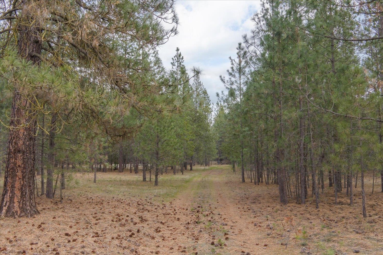 28202 N Bruce Rd - Photo 25