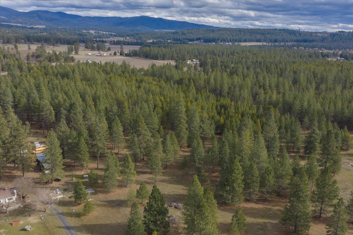 28202 N Bruce Rd - Photo 28