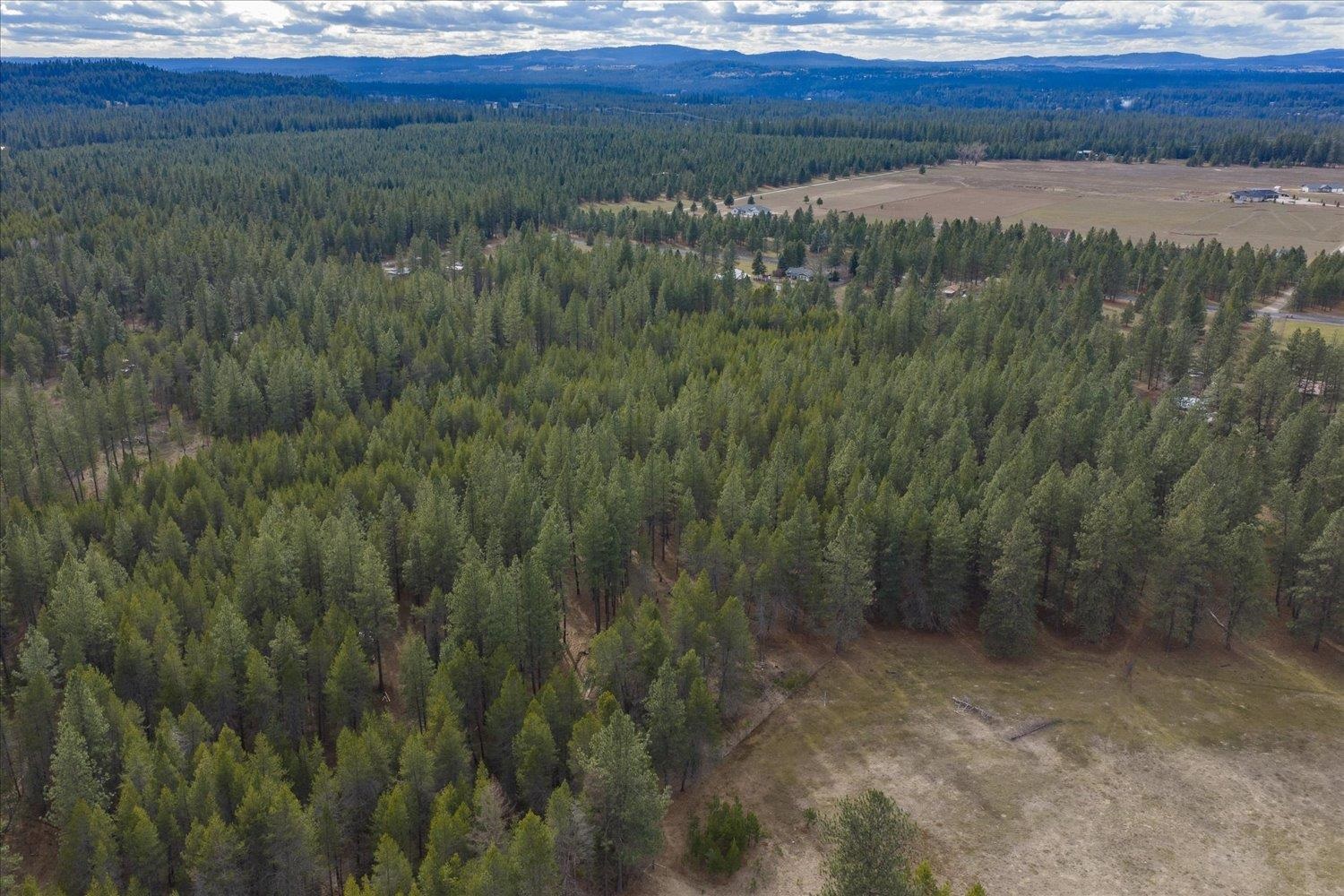 28202 N Bruce Rd - Photo 33