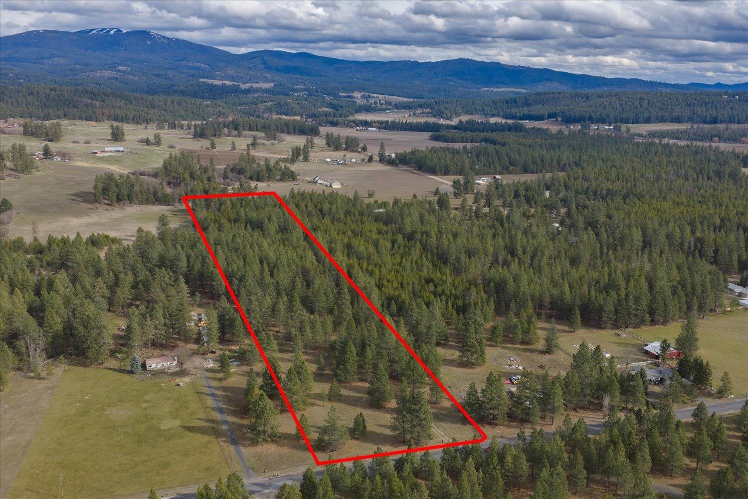 28202 N Bruce Rd - Photo 36