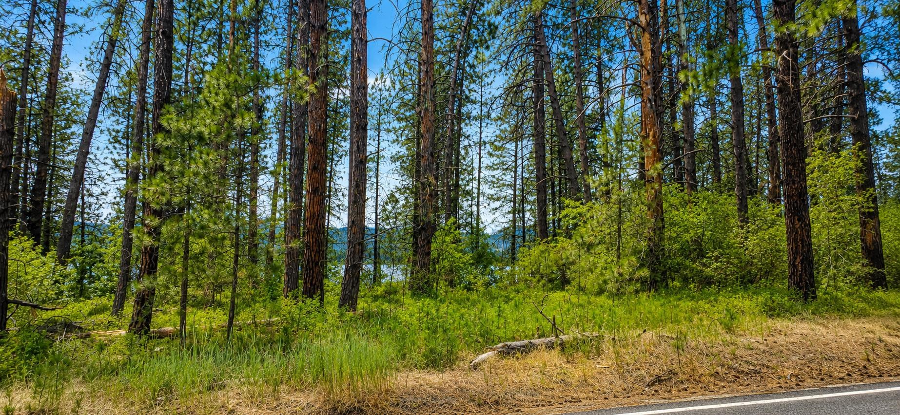 XXX Hwy 25 S Hwy - Photo 2