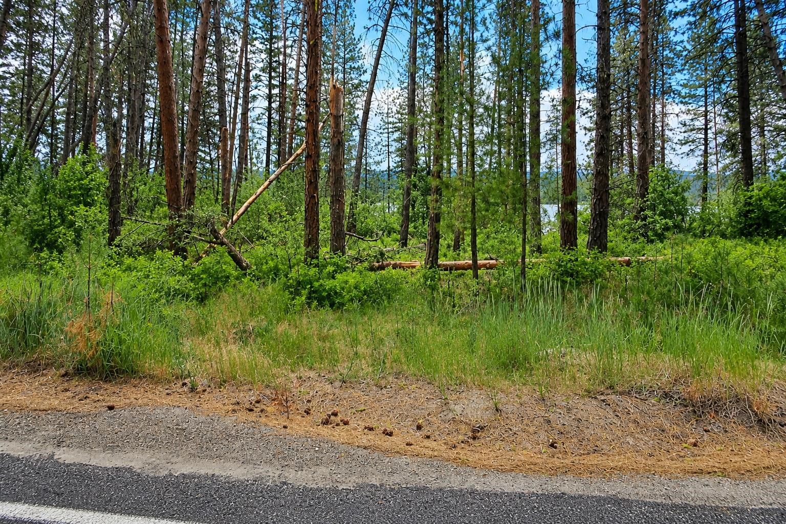 XXX Hwy 25 S Hwy - Photo 3