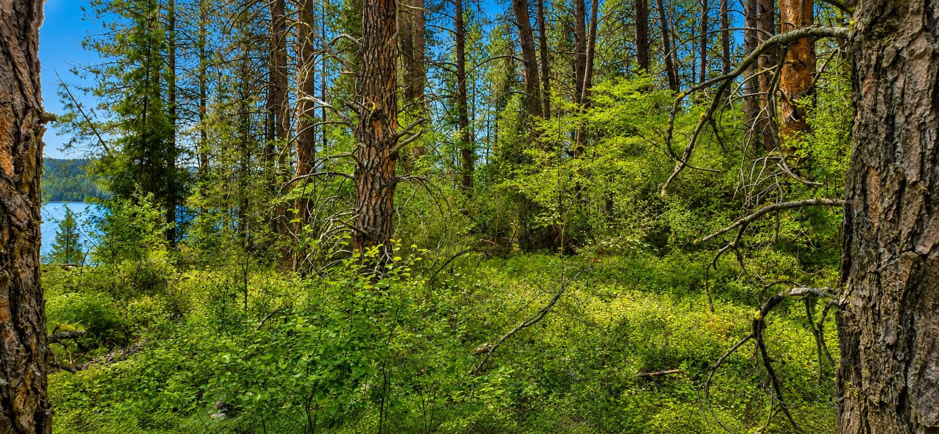 XXX Hwy 25 S Hwy - Photo 7