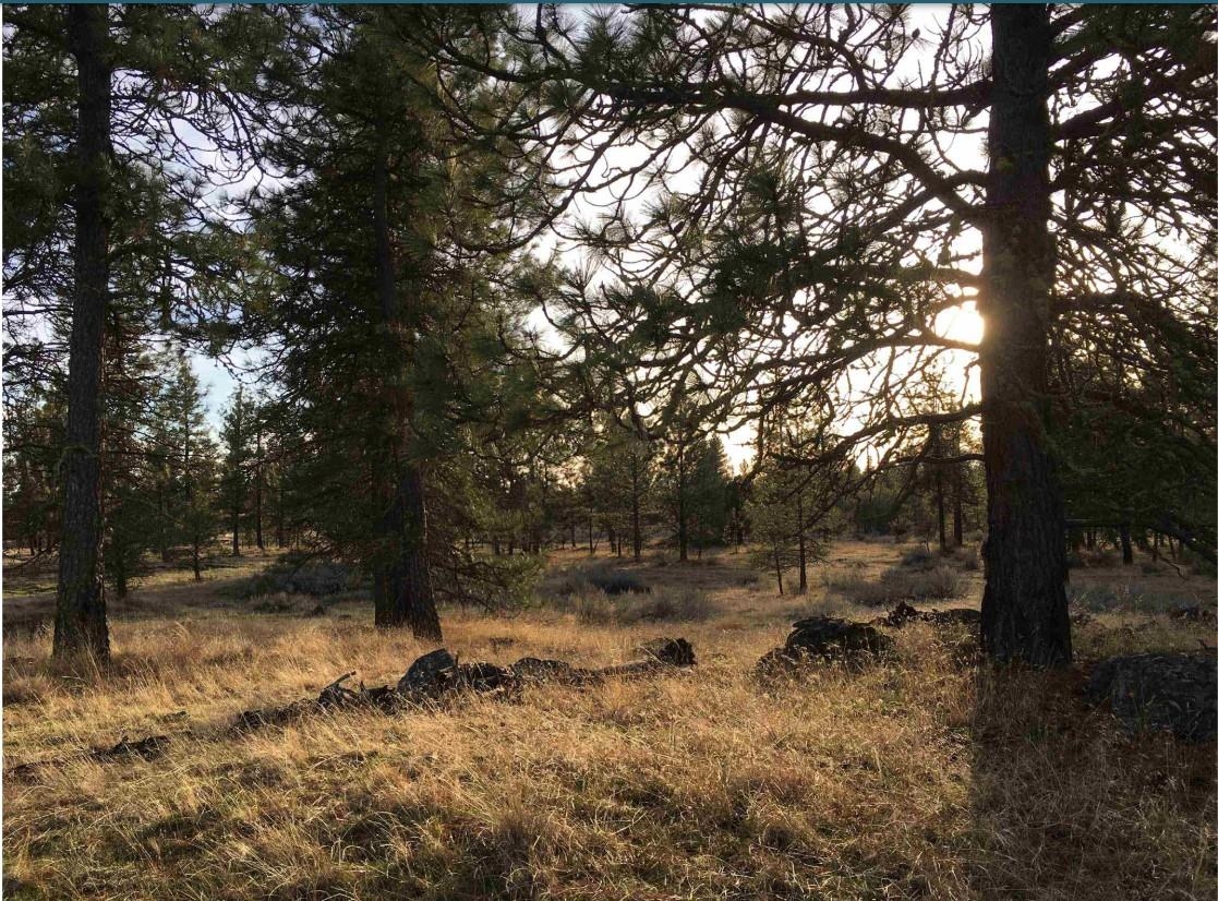 21301 S Harrison Rd - Photo 11
