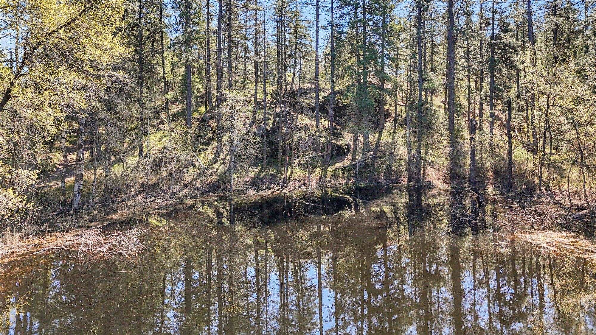 5882 Carey Rd - Photo 34