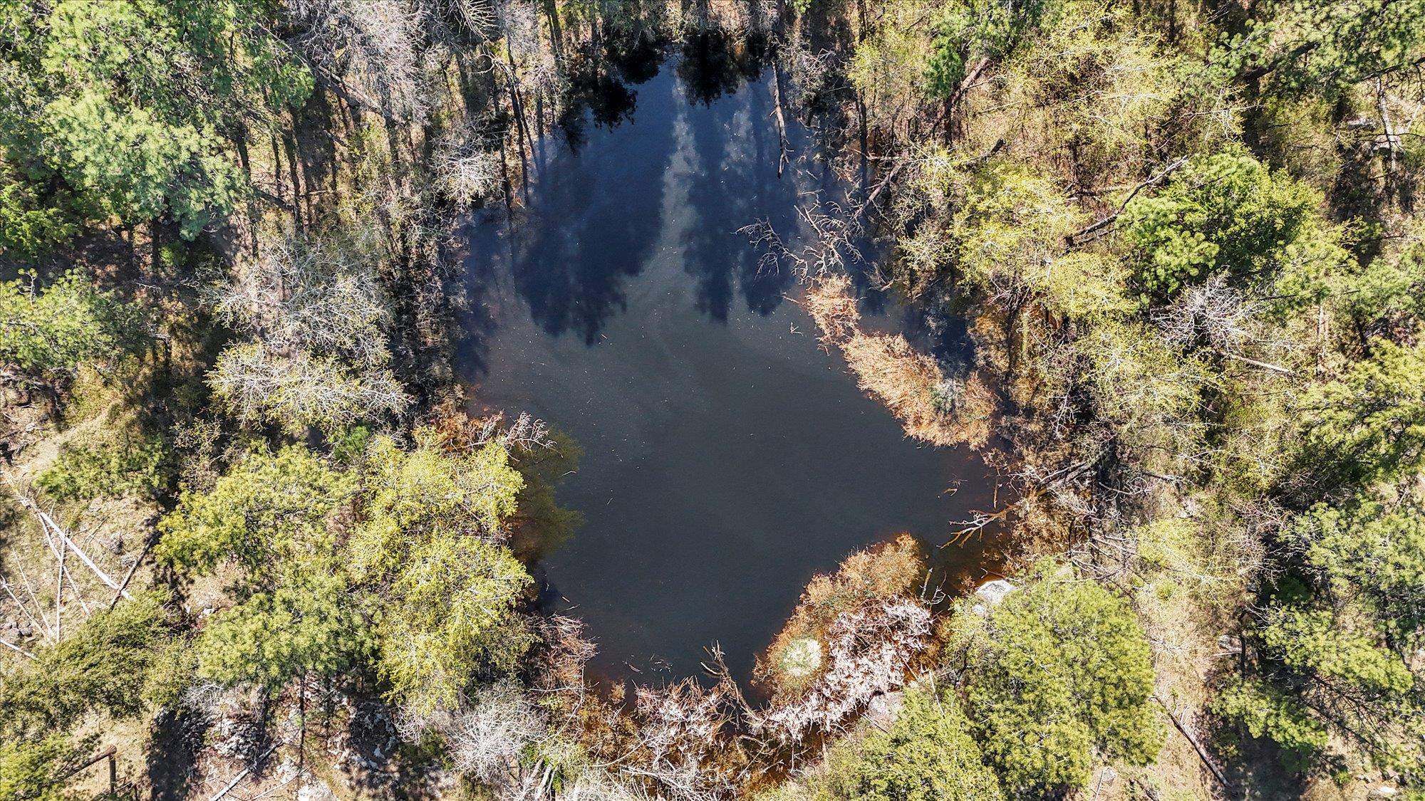 5882 Carey Rd - Photo 35
