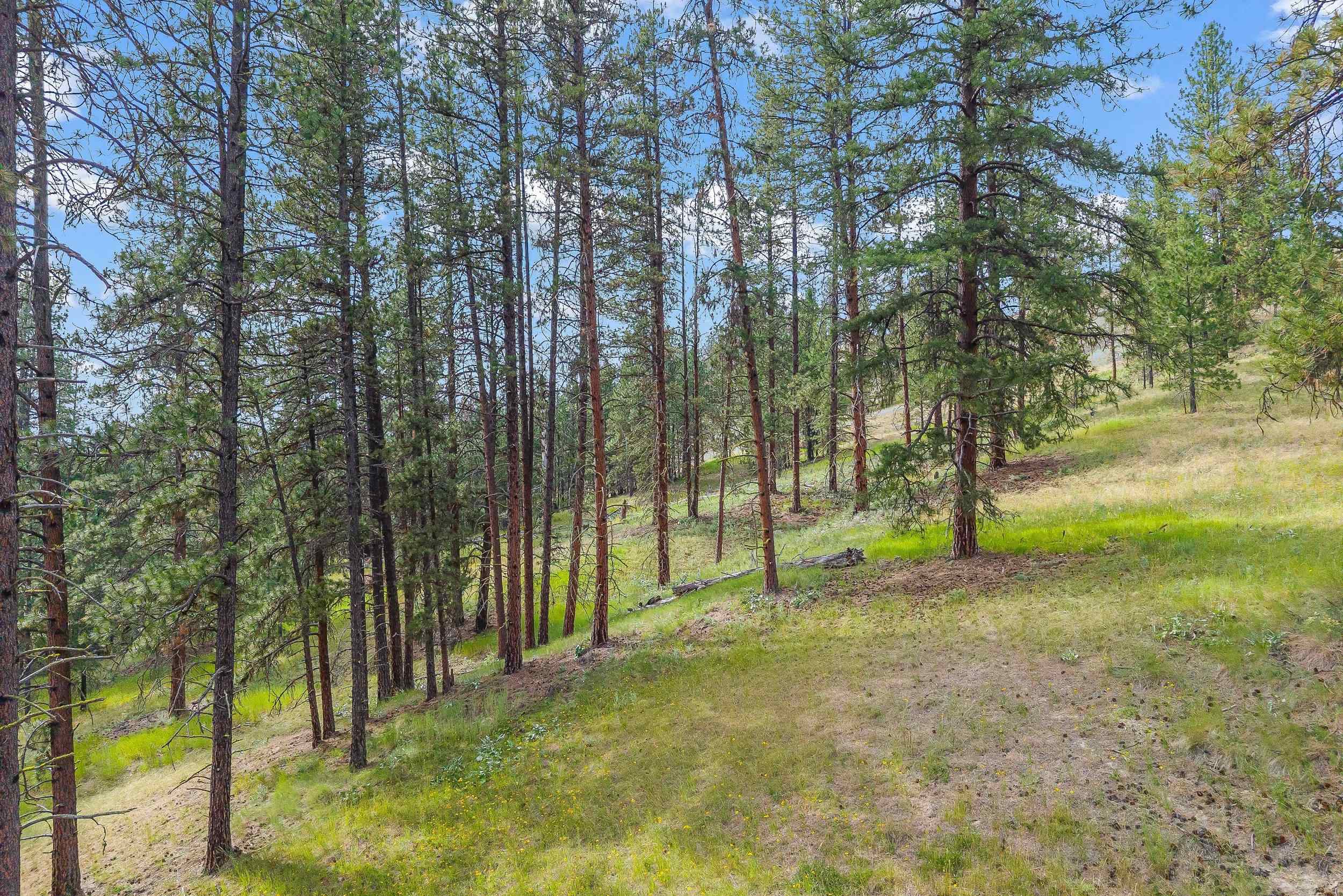 114X Sletten Way - Photo 27