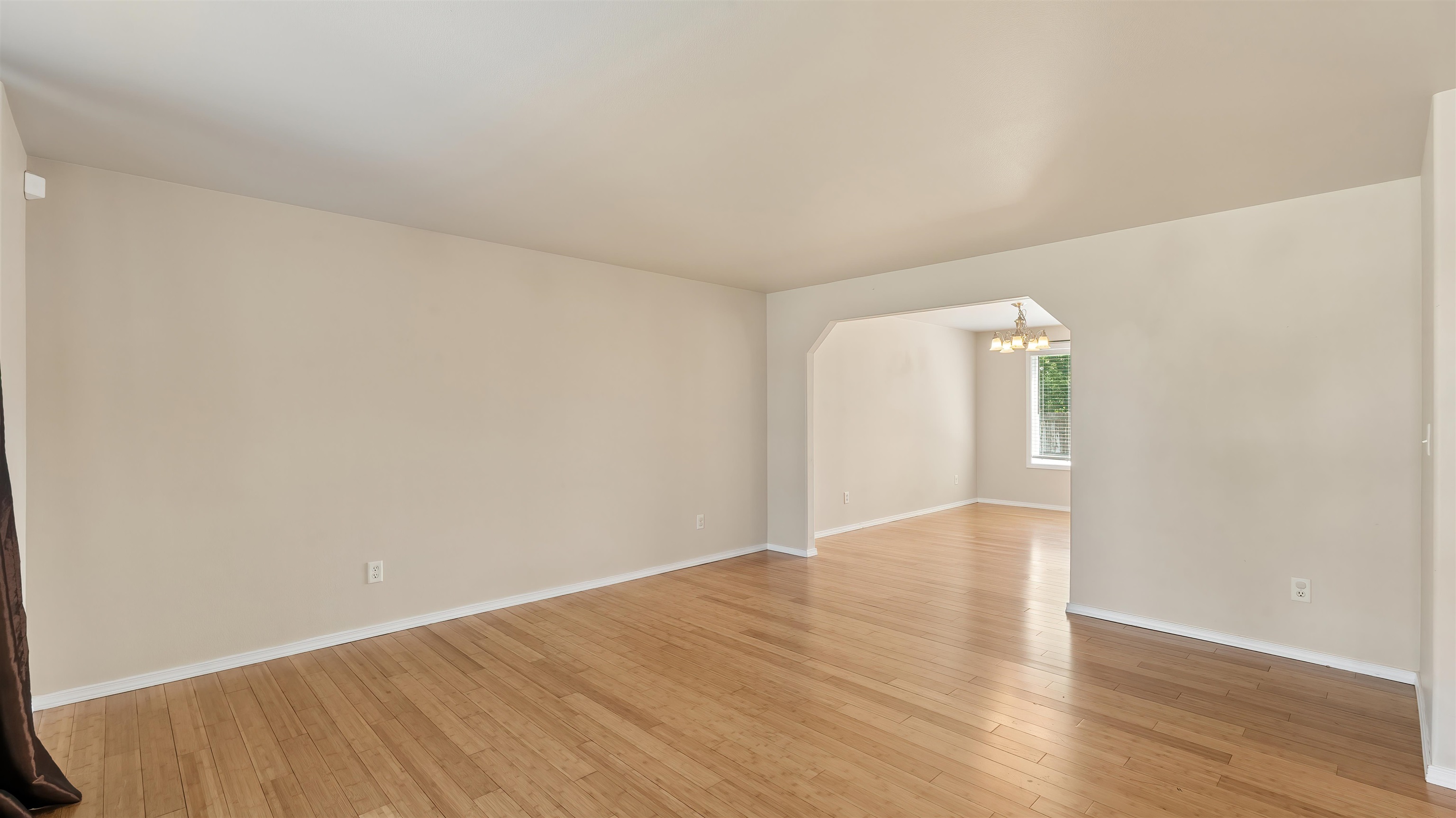 509 S Molly Mitchell Dr - Photo 2