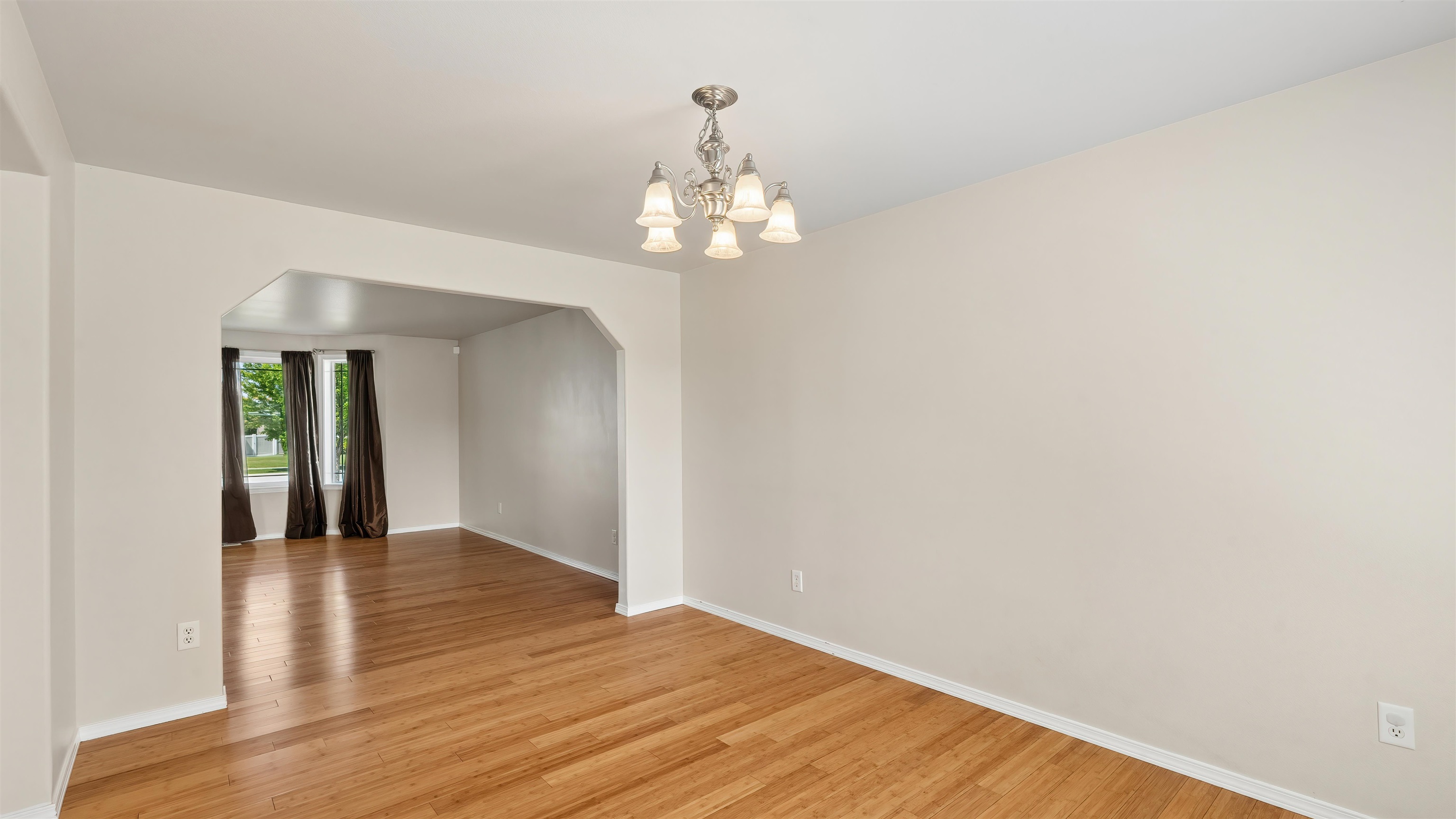 509 S Molly Mitchell Dr - Photo 8