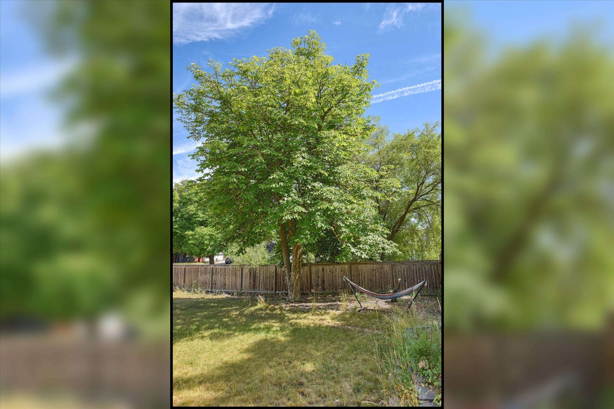 4803 N Belt St - Photo 28